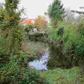 adelberg