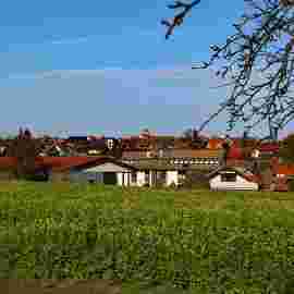 adelberg
