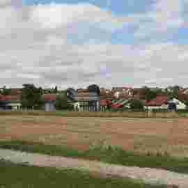 adelberg