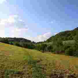 auendorf