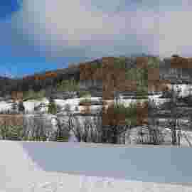 auendorf