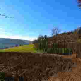 auendorf