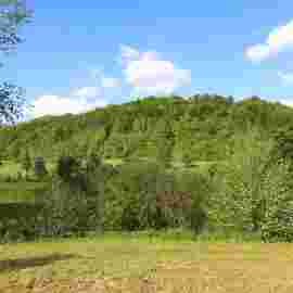 auendorf