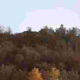 bad ditzenbach