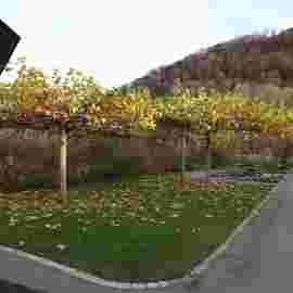 bad ditzenbach