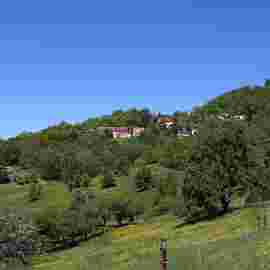hohenstaufen