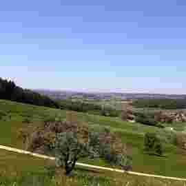 hohenstaufen