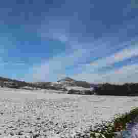hohenstaufen