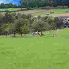 hohenstaufen