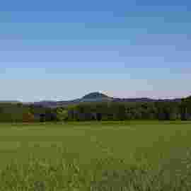 hohenstaufen