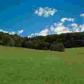 hohenstaufen