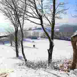 hohenstaufen