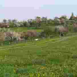 oberw&auml;lden