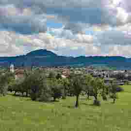 w&auml;schenbeuren