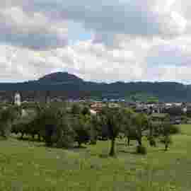 w&auml;schenbeuren