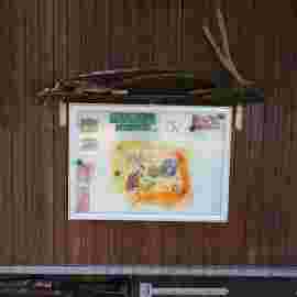 kindergarten 2017/24